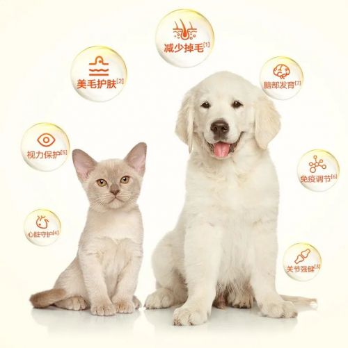 1粒顶9粒，9倍吸收丨红狗RTGN鱼油重磅上新！