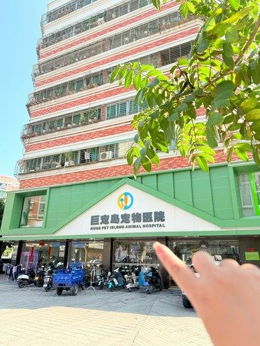 **澄海24小时宠物天堂！铲屎官看过来**