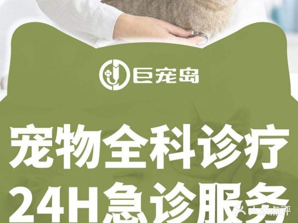 巨宠岛宠物医院·内窥镜中心(汇璟花园店)