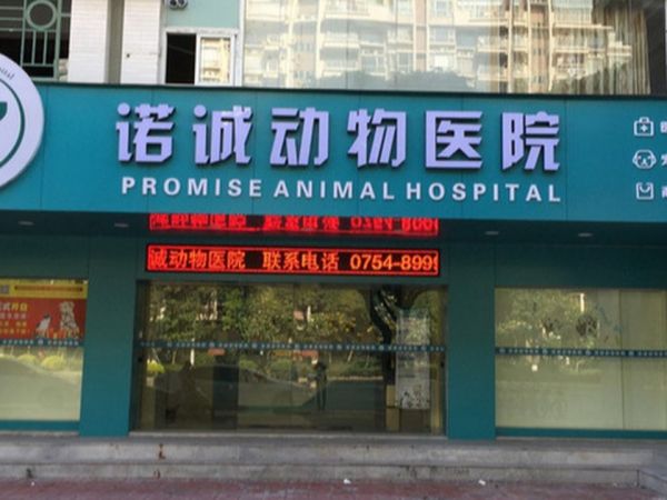 诺诚动物医院