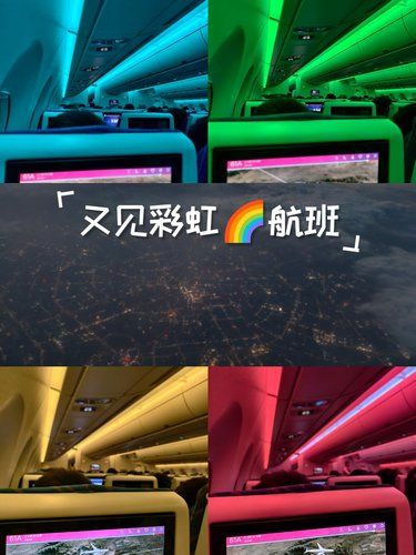 又见彩虹航班