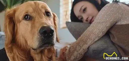 到底该不该给宠物狗做绝育？