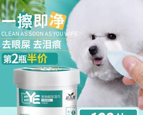 如何帮助刚出生的小猫进行大小便训练（初为宠物主人的必备指南）