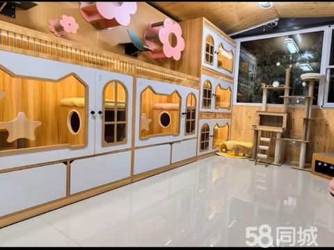 爱尚宠物服务中心·本地宠物寄养 猫咪寄养长期寄养600元一个月起 可上门接送 可散养