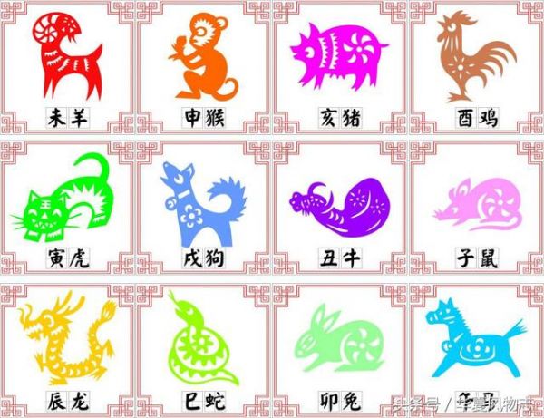 十二生肖宠物饲养有讲究：结合命理喜与忌！旺财旺身有吉凶！