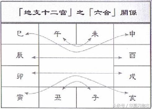 十二生肖宠物饲养有讲究：结合命理喜与忌！旺财旺身有吉凶！