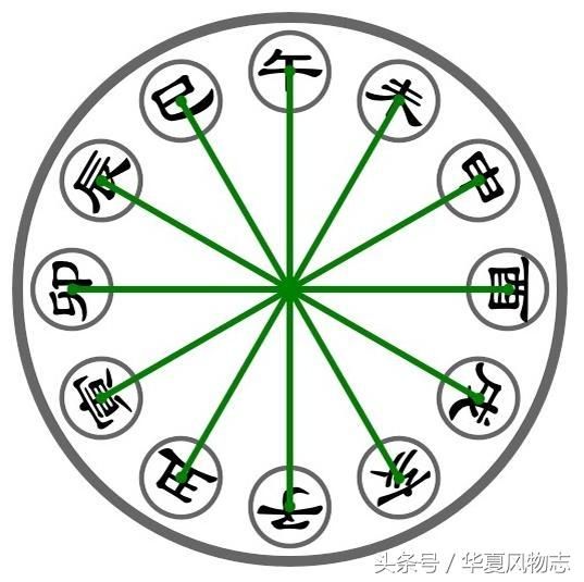 十二生肖宠物饲养有讲究：结合命理喜与忌！旺财旺身有吉凶！