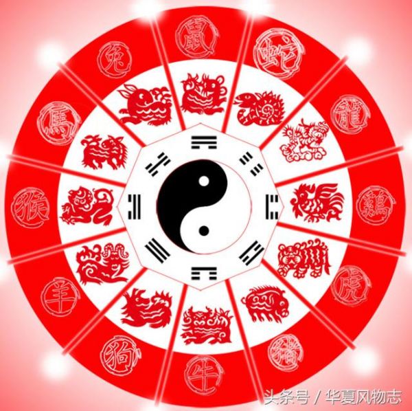 十二生肖宠物饲养有讲究：结合命理喜与忌！旺财旺身有吉凶！