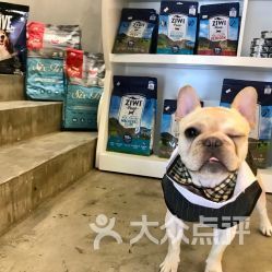 重庆宠物：了解重庆市宠物市场？重庆市宠物店排行榜