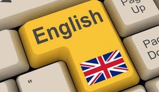 饲养宠物英语作文600字（精选26篇）
