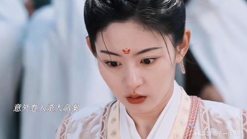 阴戾大理寺卿古灵精怪帮主，俩人初逢误会频生，他步步为营