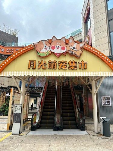 重庆的铲屎官们一定要逛！！！