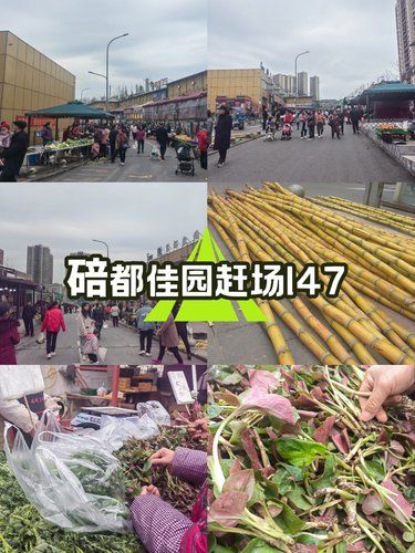 碚都佳园星光夜市147赶场 终于赶上了