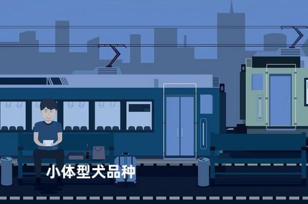 小体型犬品种