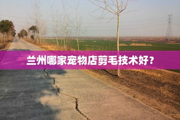 兰州哪家宠物店剪毛技术好？