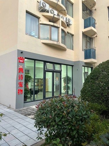 银都花园里的宝藏宠物店