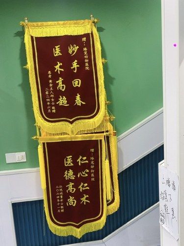 很棒的宠物医院