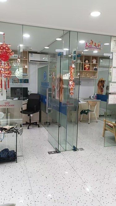 杭州探店｜臻宠宠物医院