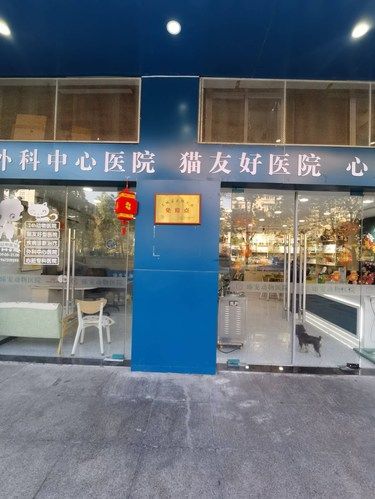 带着毛孩子体检的一天
