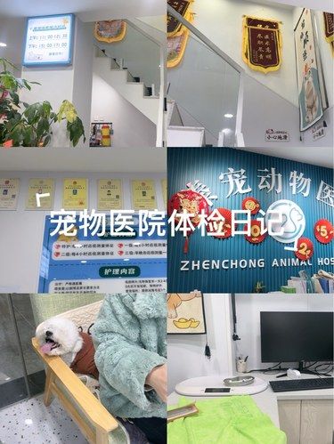 臻宠动物医院体检