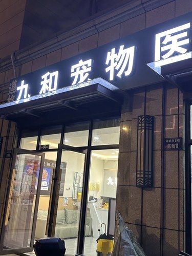 宠物生病别慌，这家医院超在行