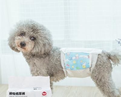 狗尿不湿使用方法图解？如何正确穿戴？