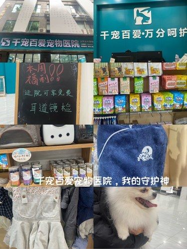 宠物美容小心得