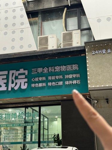 福州市中心zui大的宠物医院！小综合大专科！
