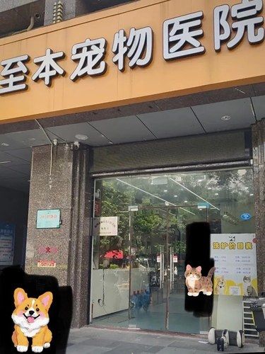 福州宠物医院至本宠物医院24h