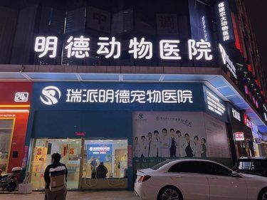 带着毛孩子体检的一天
