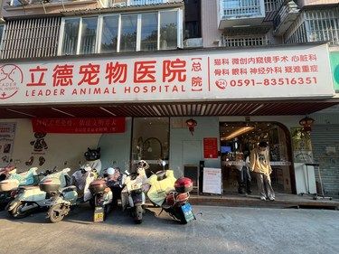 一次顺畅的宠物体检