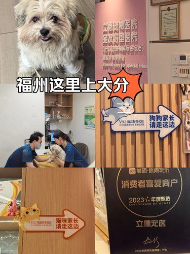 带着毛孩子体检的一天
