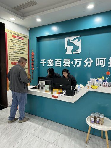 福州zui大的全科宠物医院！！专科也很强！！