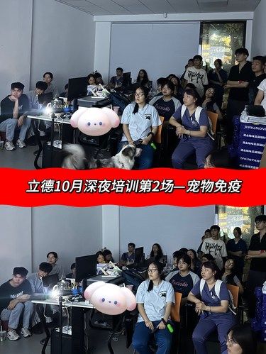 立德深夜培训第二场，专业升级，学习不止‼️ 