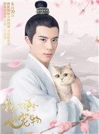 青墨颜