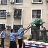 全国各地抓狗,过来人教你6招保护自己的狗