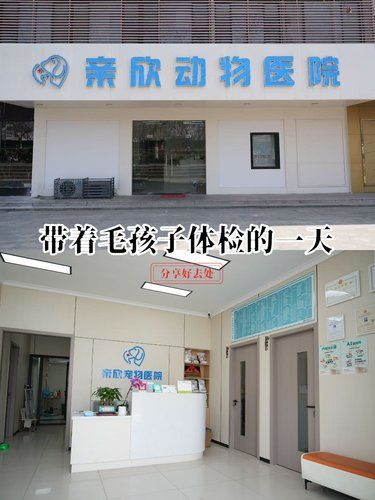 [点赞][点赞]超棒的一家宠物医院