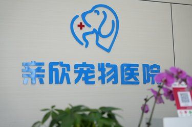 亲欣宠物医院你也算火了[狗头]