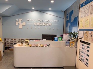 探访太仓安瑞宠物医院浏河店｜专业与温情并存