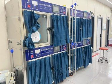 挖到宝！这家宠物医院性价比绝了，学生党铲屎官