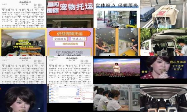长沙宠物托运