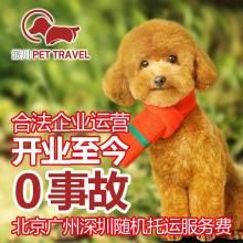 长沙宠物托运,价格亲民,宠物安心出行!