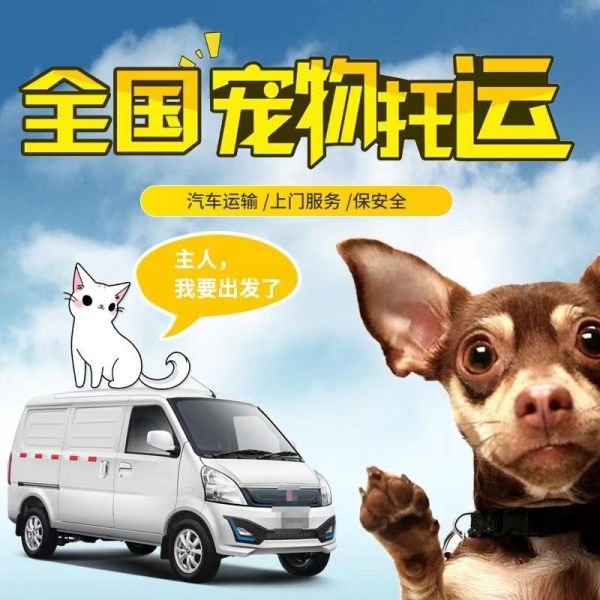 长沙正规托运上门接宠