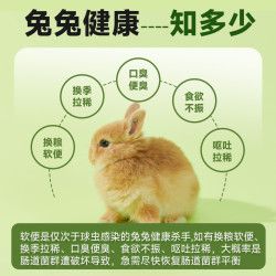 yee 意牌 宠物兔子益生菌龙猫豚鼠仓鼠专用调理肠胃少软便拉稀胀气便秘