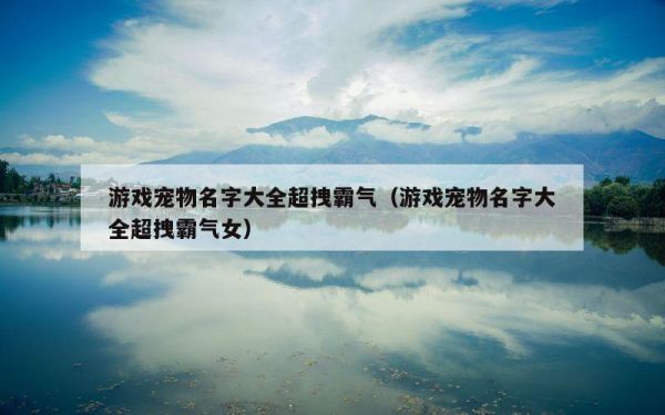 游戏宠物名字大全超拽霸气（游戏宠物名字大全超拽霸气女）