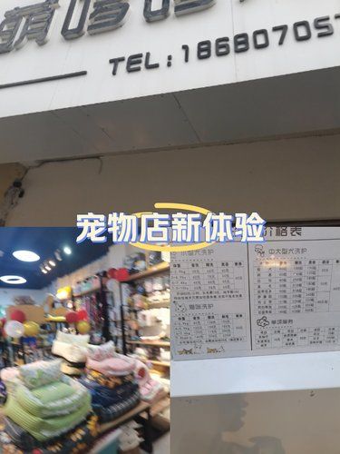 宠物店新体验