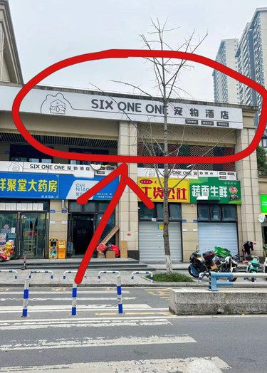 大竹林宠物酒店‍⬛，快带乖乖来享福！
