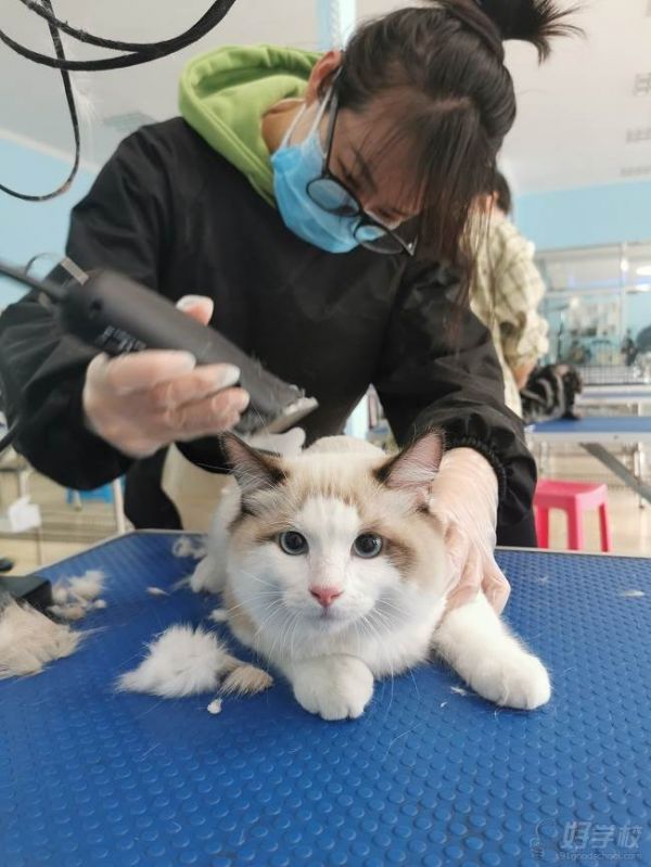 学员实操