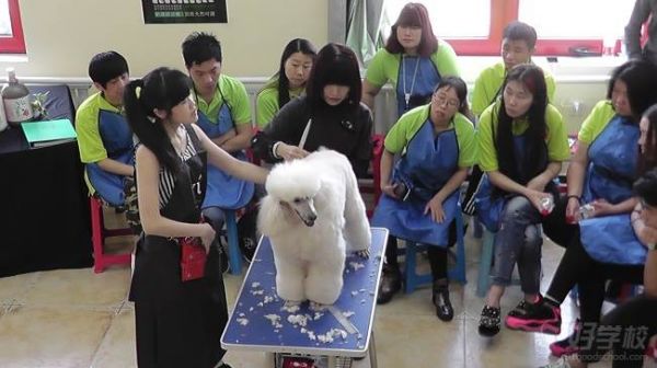 学员实操风采