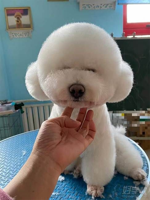 实操作品